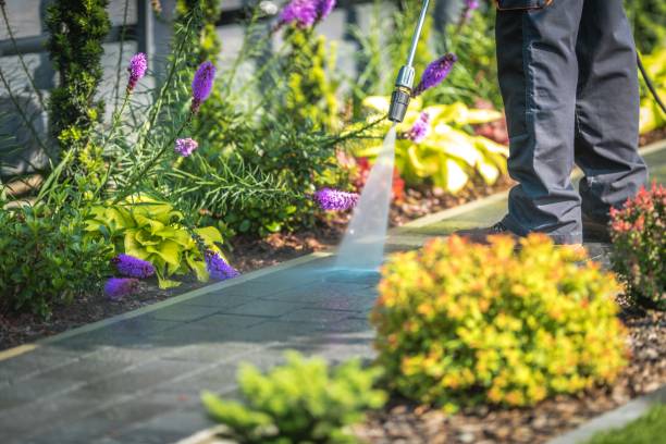 Best Winterizing Services  in Seven Lakes, NC