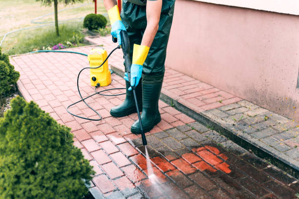 Best Animal Enclosure Cleaning  in Seven Lakes, NC